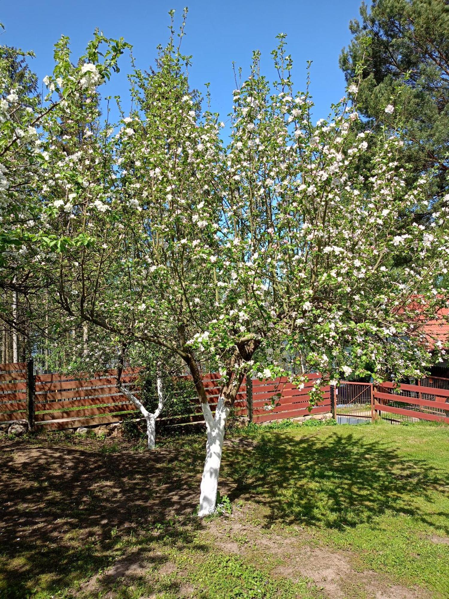 Dom W Jablonkach Wakacje, Kaszuby, Chmielno, Sznurki 155 Villa Exterior photo